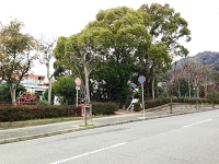 mitisugara.png